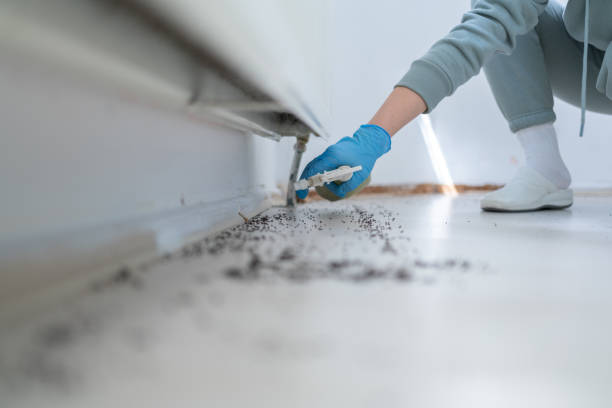 Pest Prevention Services in Fruitland, IA